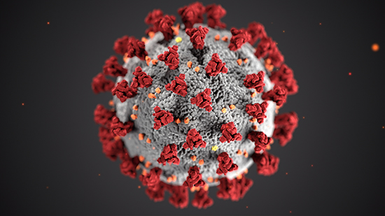 Tracking viruses the best clues may be in the sewe